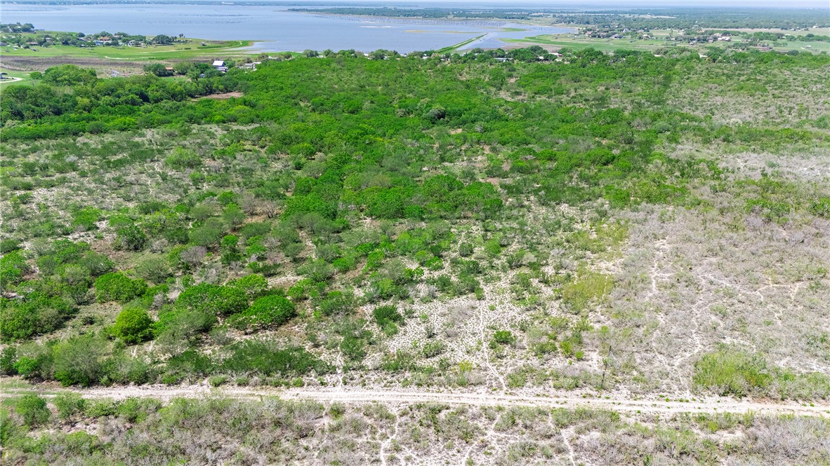 00 County Road 441 Property Photo 20