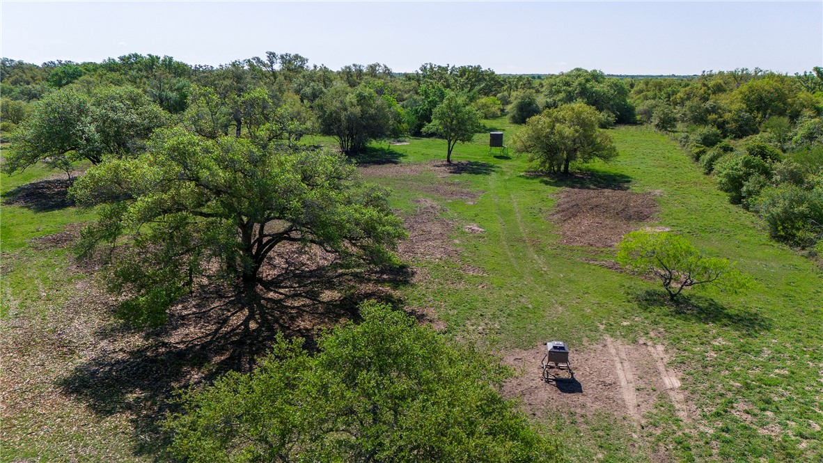 00 Highway 77 N Property Photo 15
