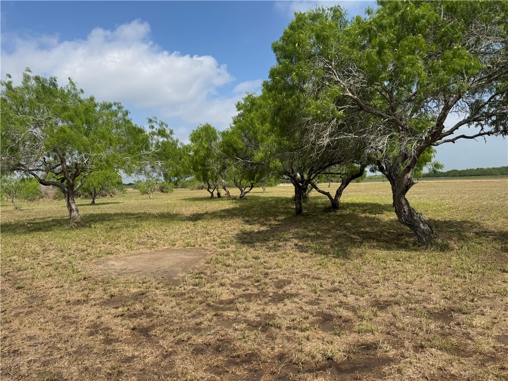 00 T-head Dr Property Photo 14
