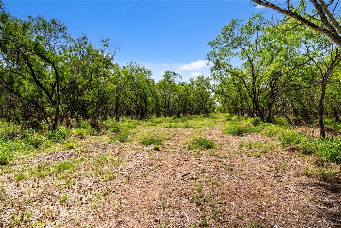 000 Cr 175 Property Photo 3