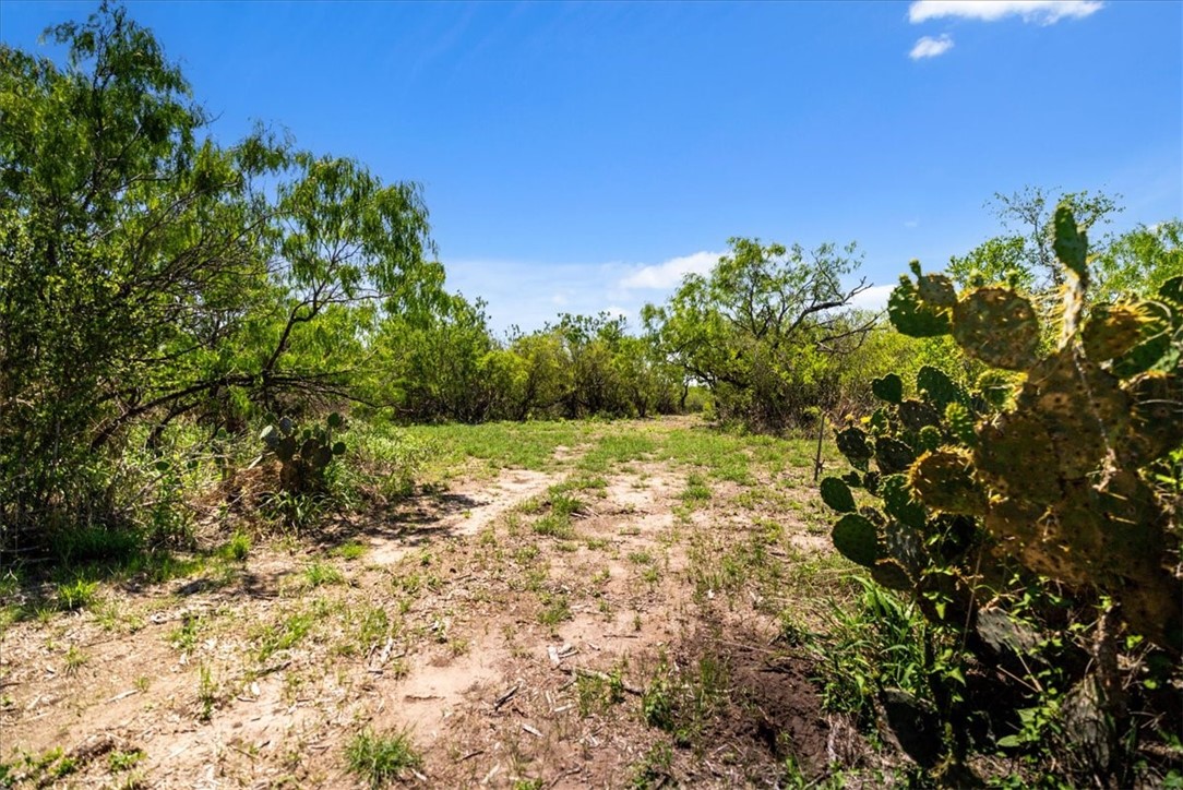 000 Cr 175 Property Photo 6