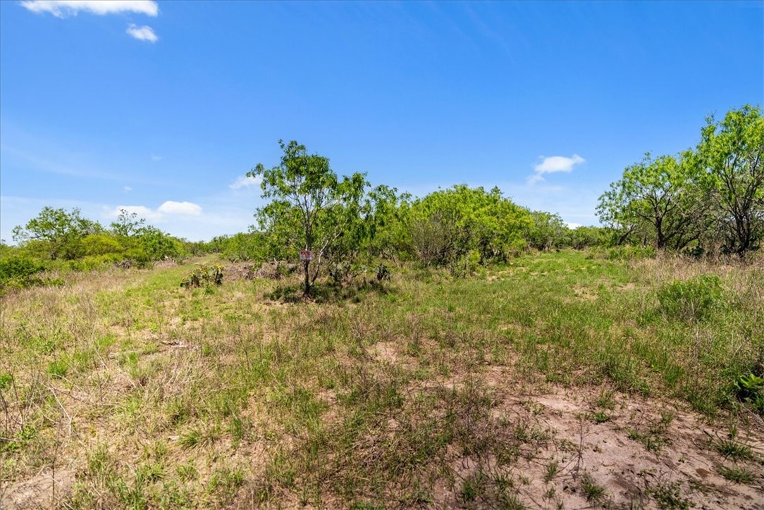 000 Cr 175 Property Photo 11