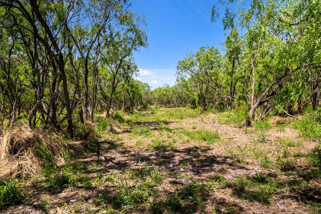 000 Cr 175 Property Photo 12