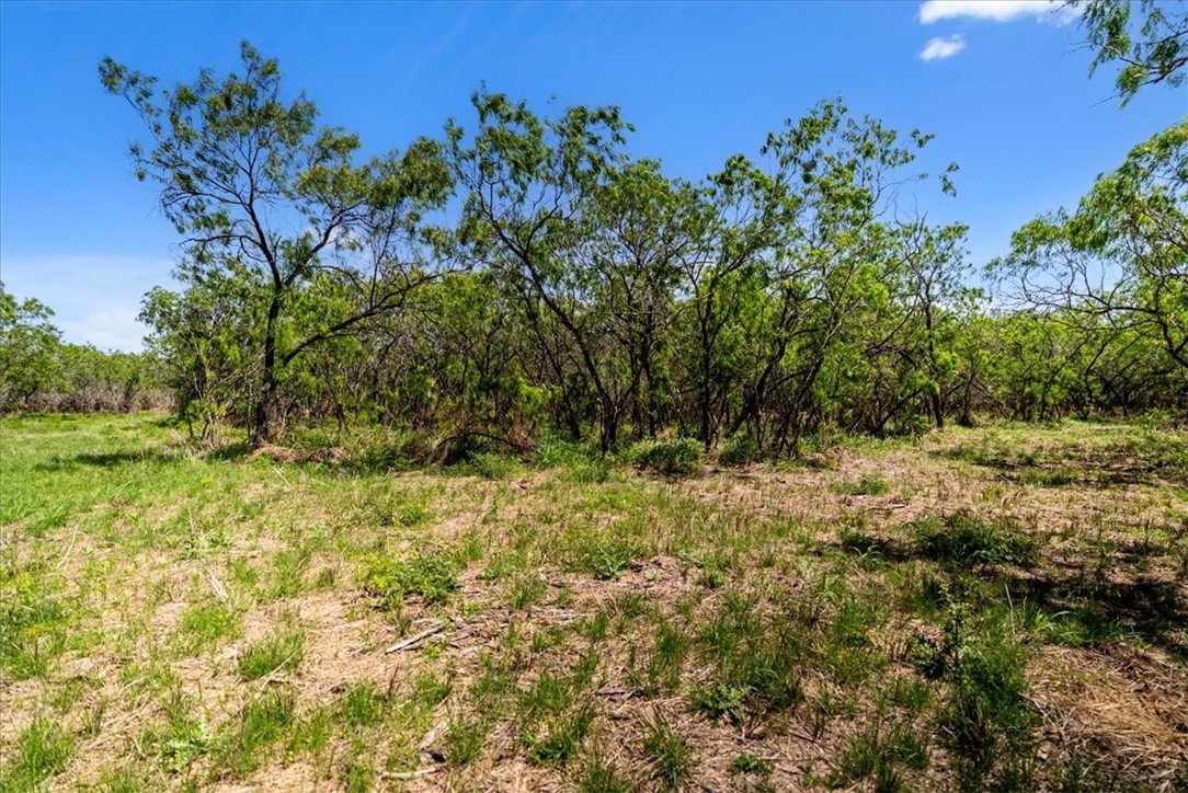 000 Cr 175 Property Photo 13