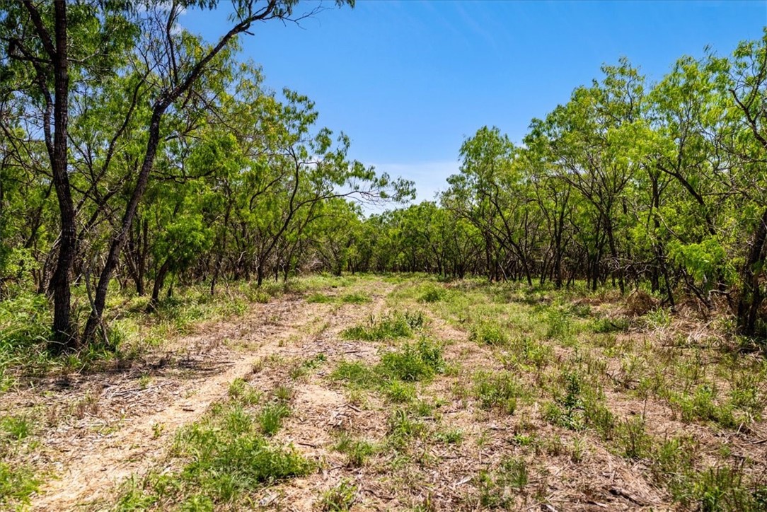 000 Cr 175 Property Photo 14