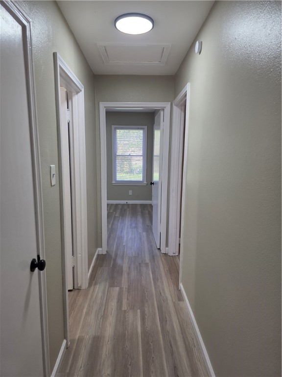 1535 Daytona Dr Property Photo 23