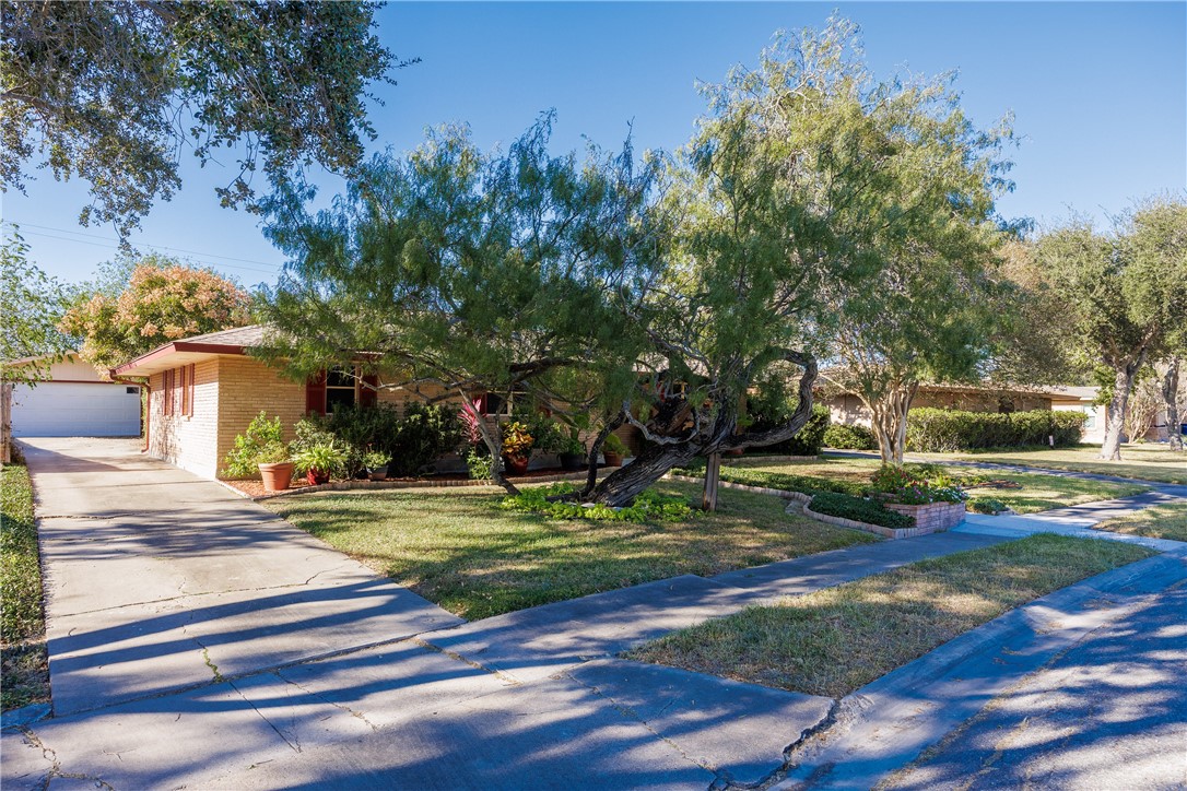 542 Evergreen Dr Property Photo 3