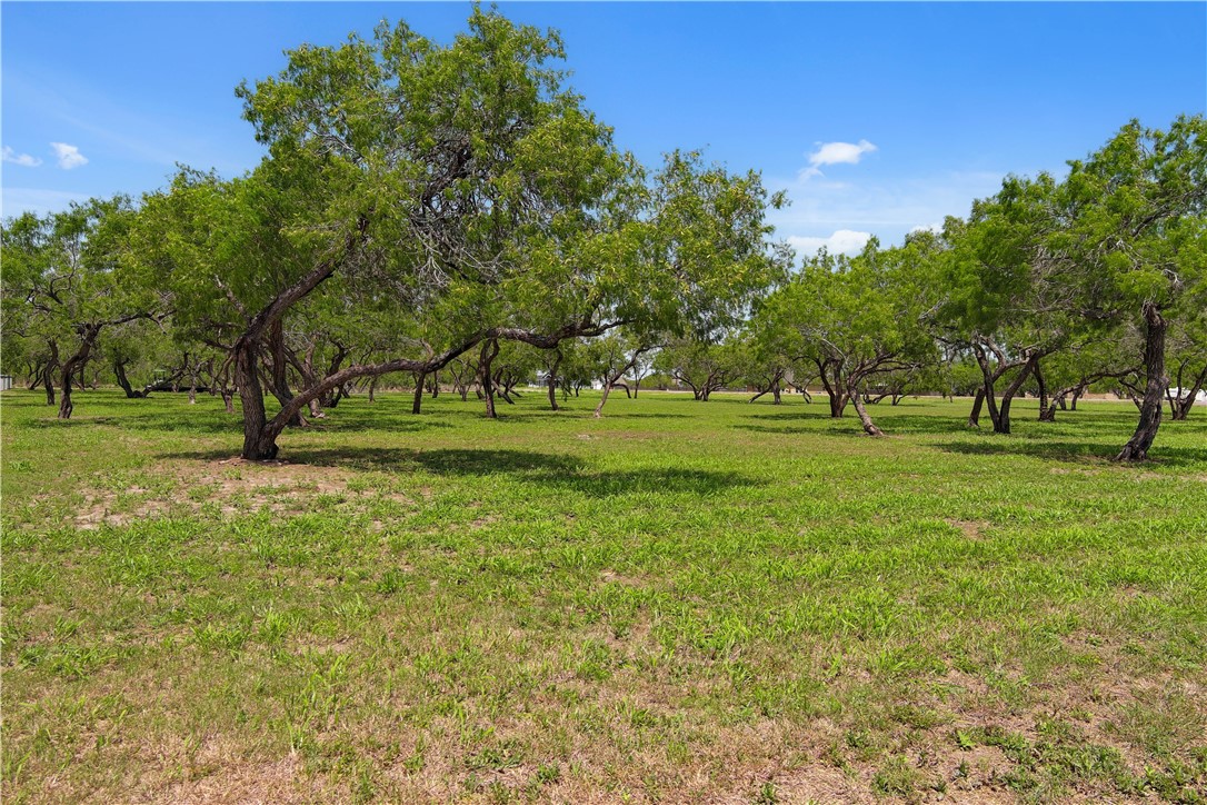 0 Lonesome Dove Property Photo