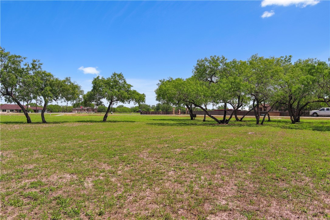 0 Lonesome Dove Property Photo 9