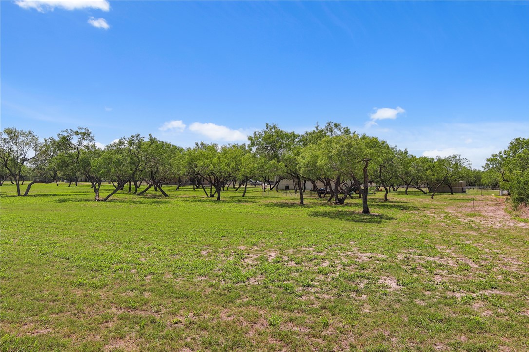 00 Lonesome Dove Property Photo 1