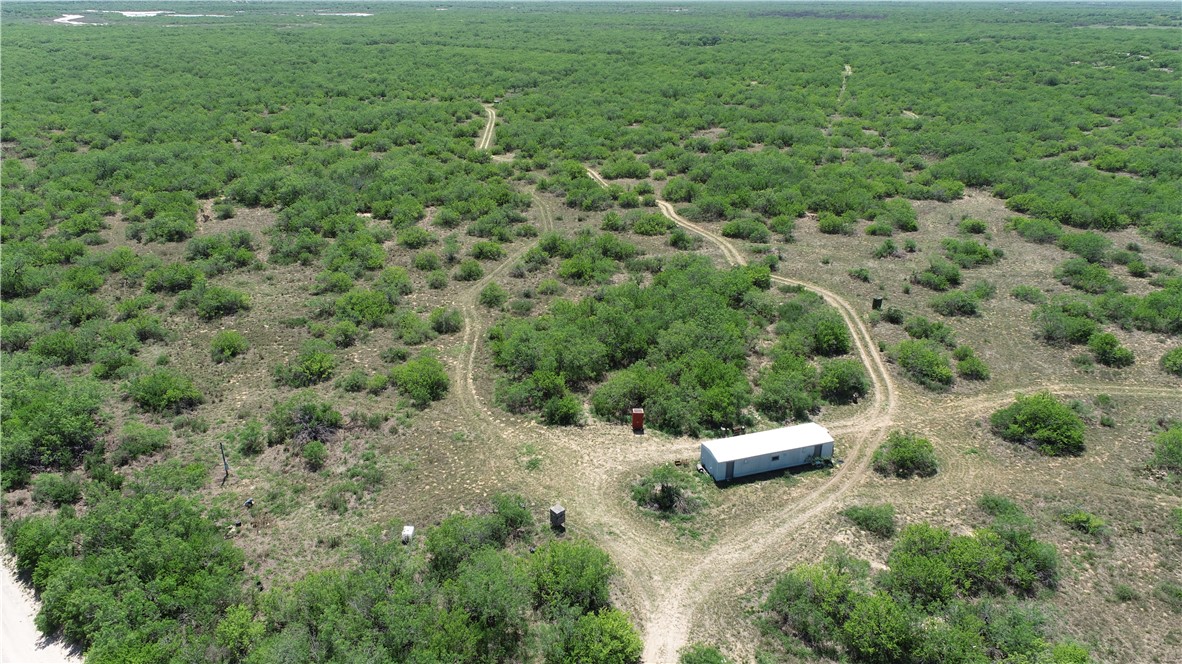 Tbd County Road 214 Property Photo 3