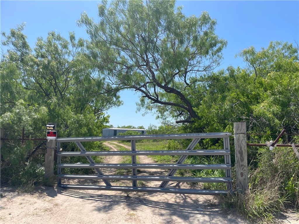 Tbd County Road 214 Property Photo 8