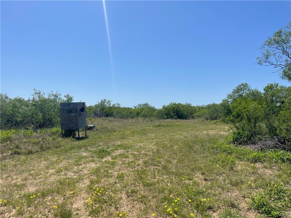 Tbd County Road 214 Property Photo 16