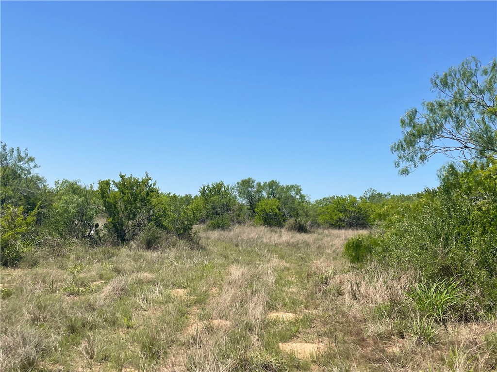 Tbd County Road 214 Property Photo 17