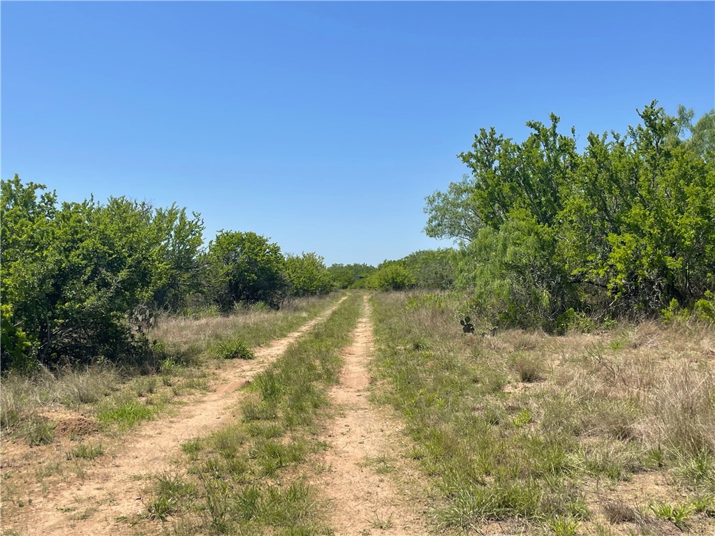 Tbd County Road 214 Property Photo 18