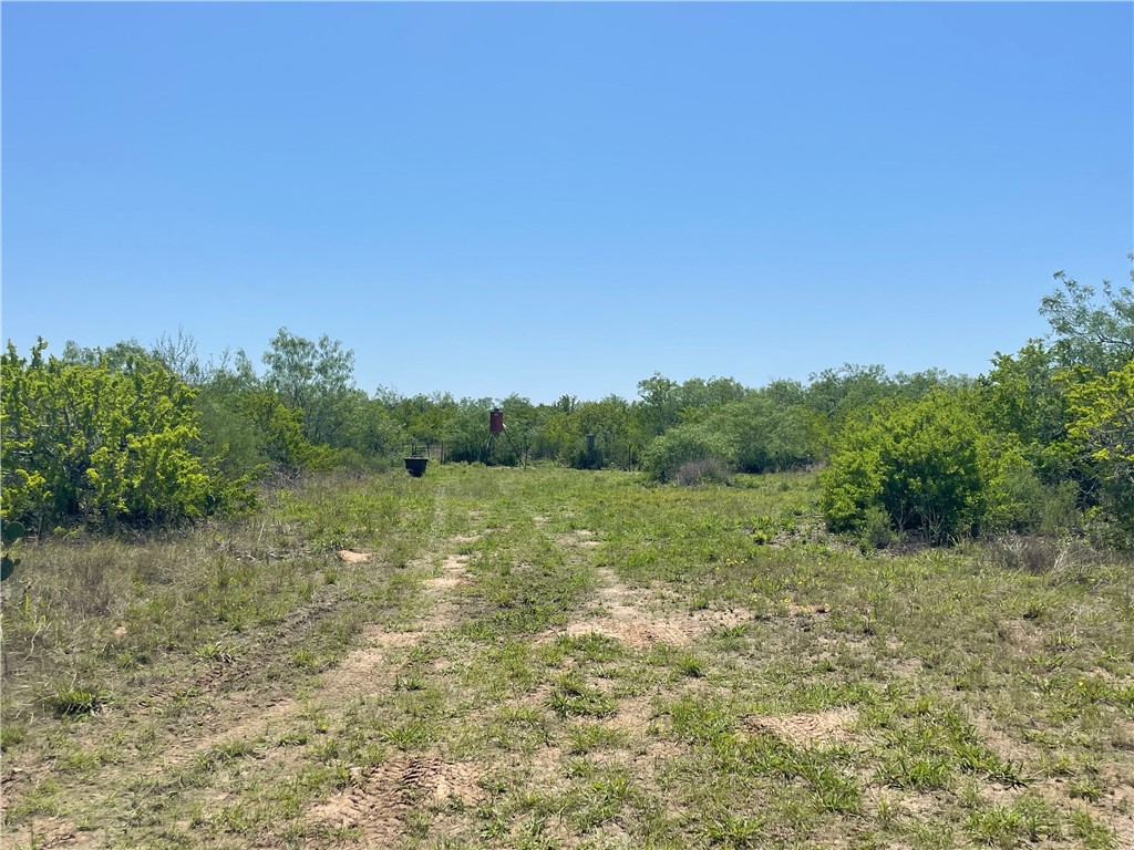 Tbd County Road 214 Property Photo 19