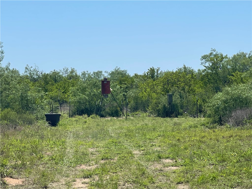 Tbd County Road 214 Property Photo 20