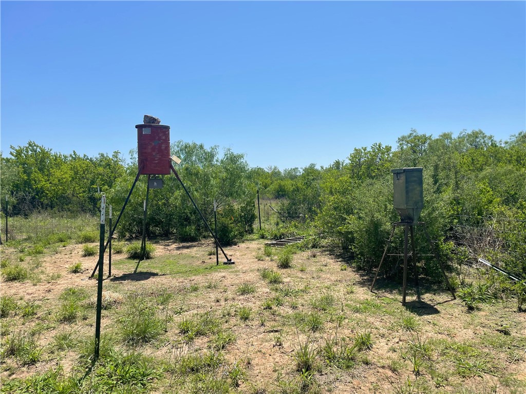 Tbd County Road 214 Property Photo 21