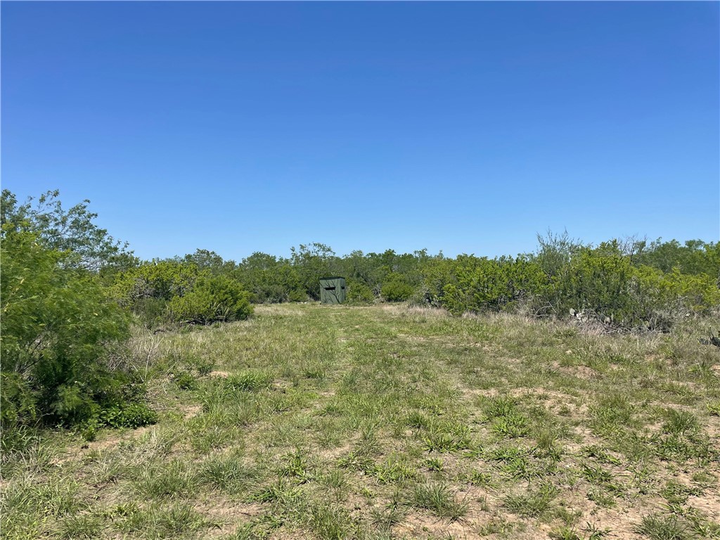 Tbd County Road 214 Property Photo 22