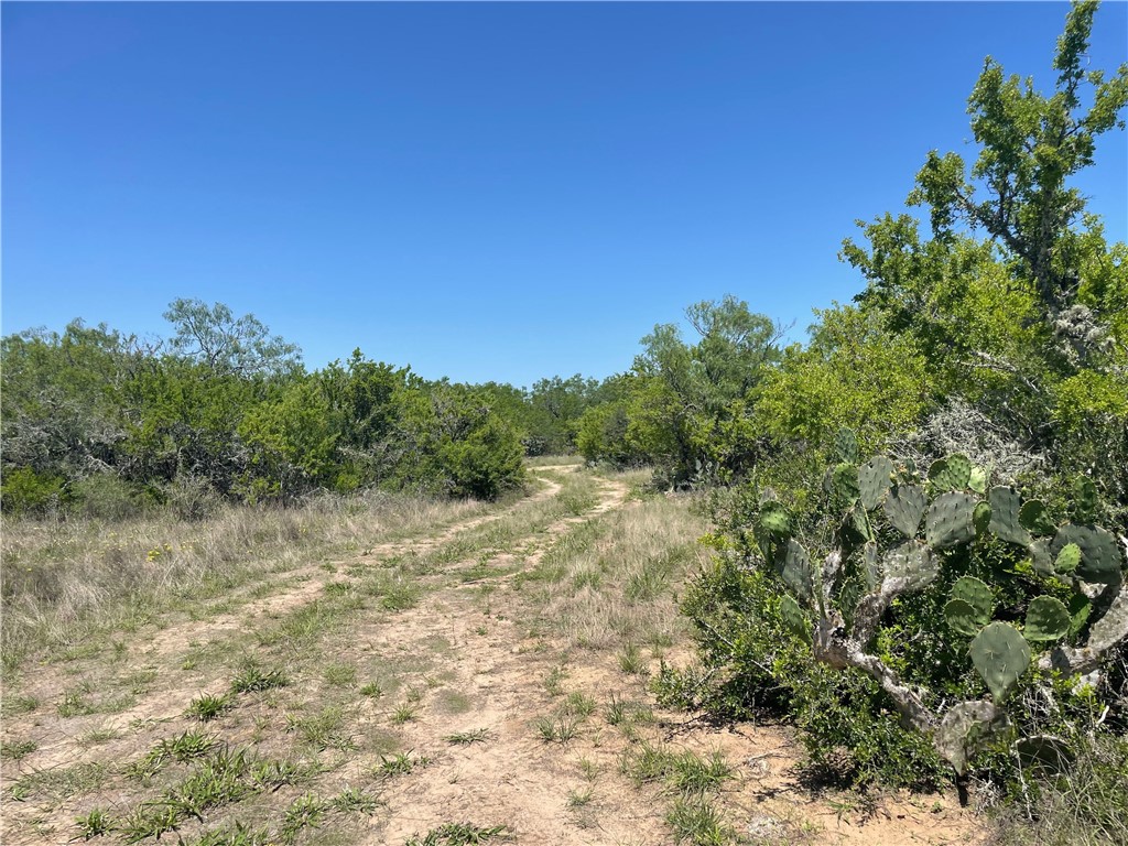 Tbd County Road 214 Property Photo 26