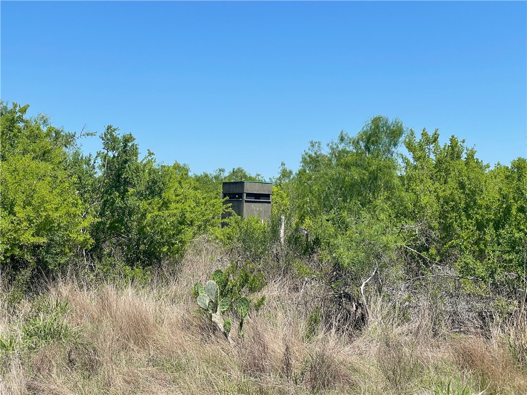 Tbd County Road 214 Property Photo 27