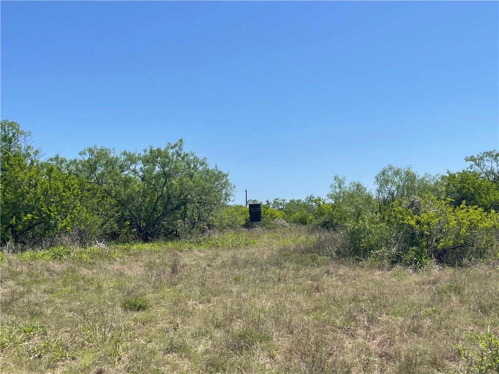 Tbd County Road 214 Property Photo 28