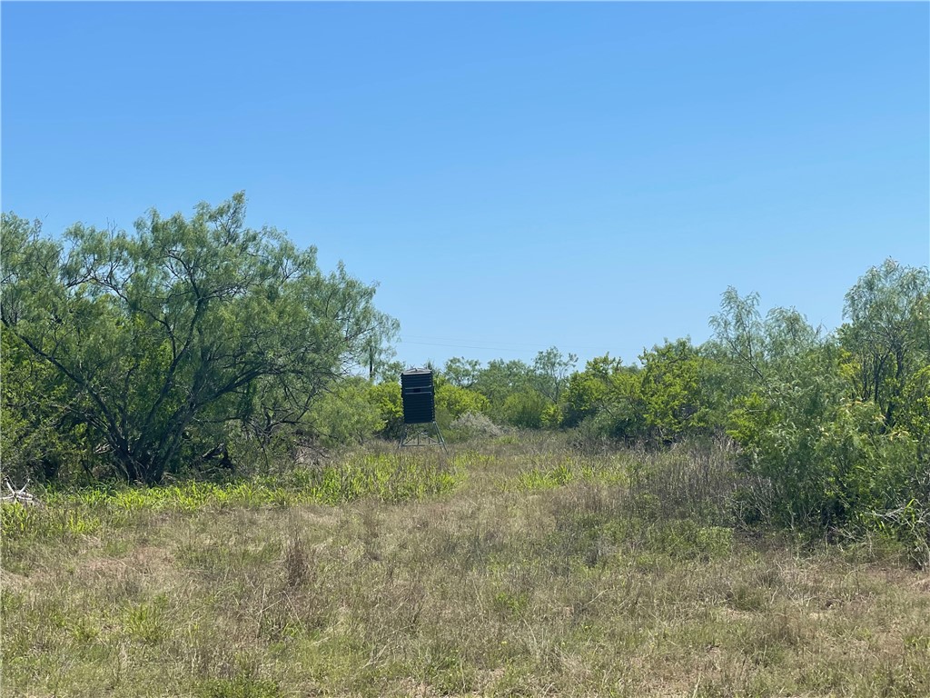 Tbd County Road 214 Property Photo 29