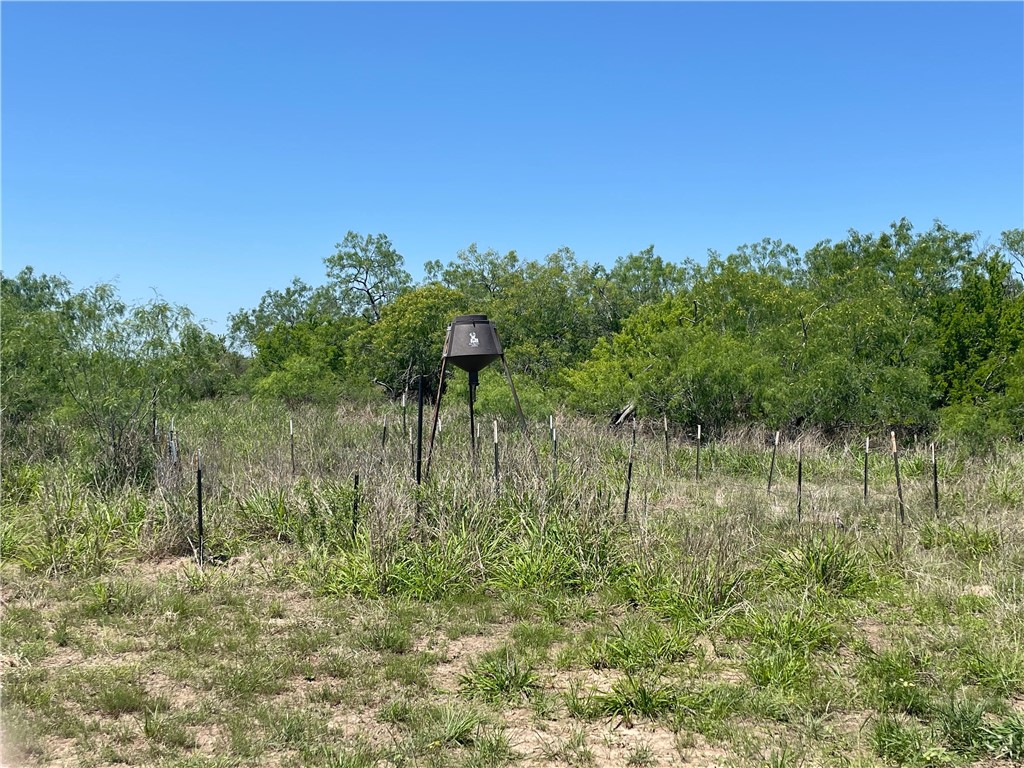 Tbd County Road 214 Property Photo 30