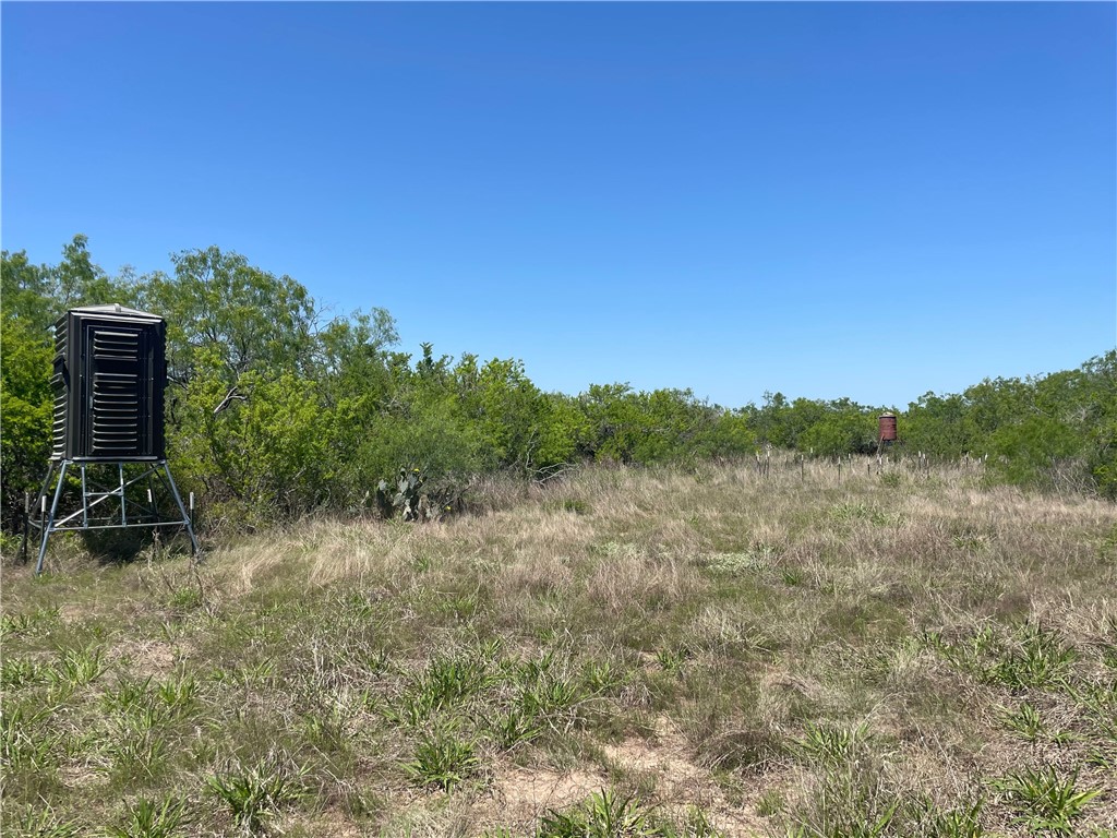 Tbd County Road 214 Property Photo 32