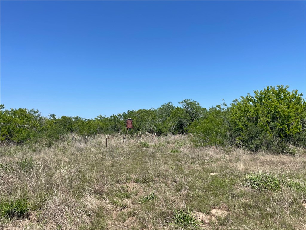 Tbd County Road 214 Property Photo 34