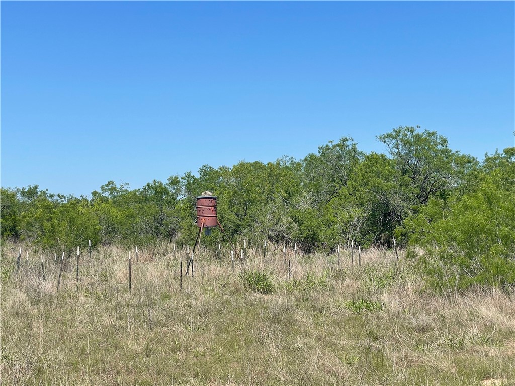 Tbd County Road 214 Property Photo 35