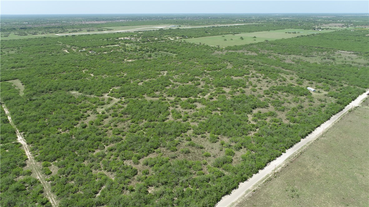 Tbd County Road 214 Property Photo 37