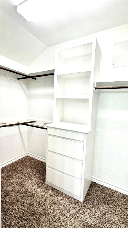 3902 Boomerang Dr Property Photo 19