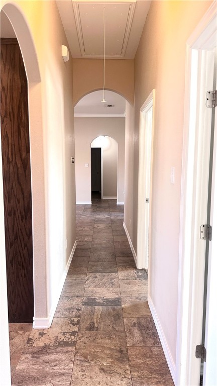 3902 Boomerang Dr Property Photo 21