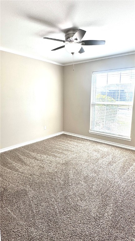 3902 Boomerang Dr Property Photo 22