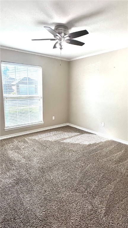 3902 Boomerang Dr Property Photo 25