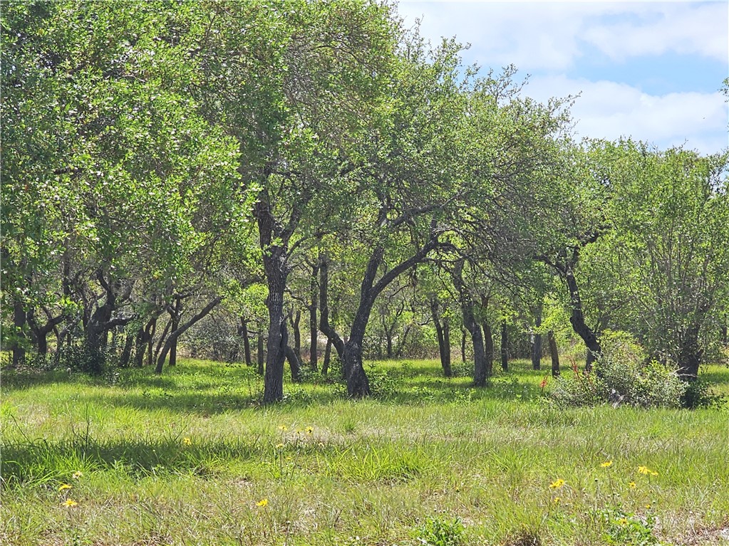 Lot 16a Avenue A Property Photo 1