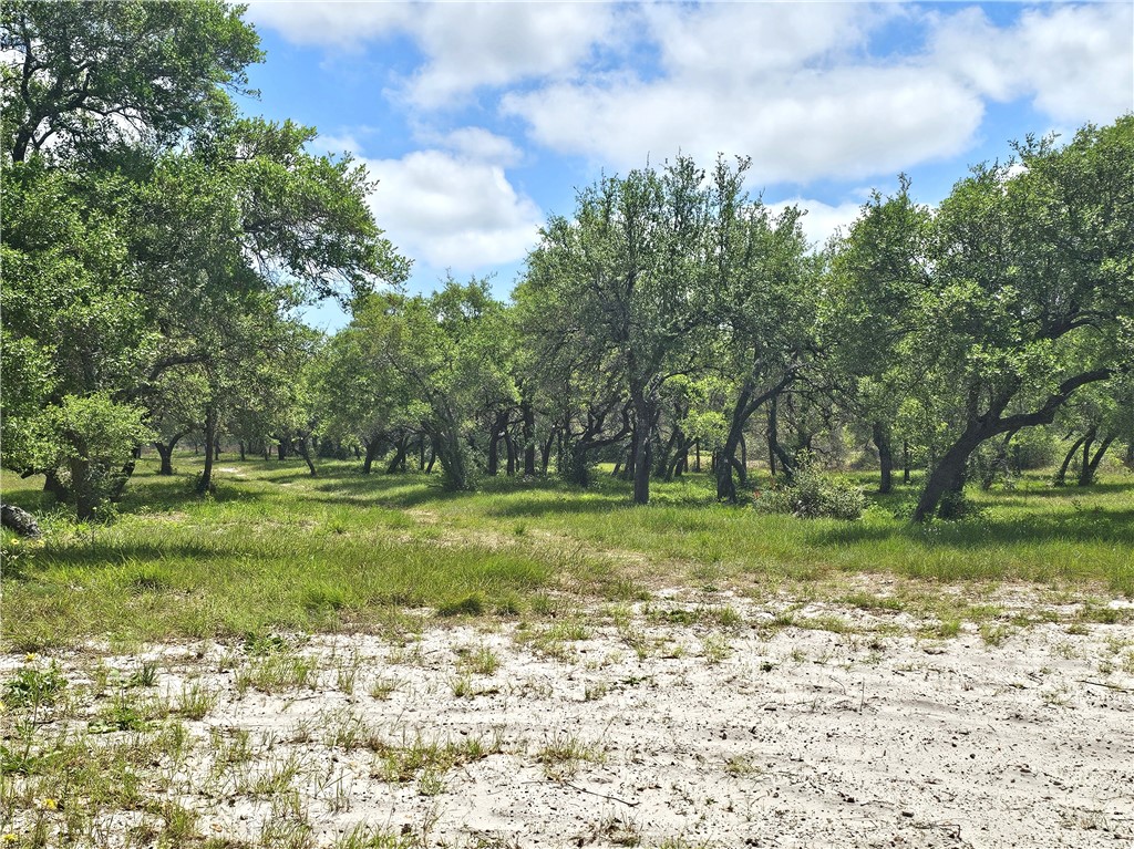 Lot 16a Avenue A Property Photo 2