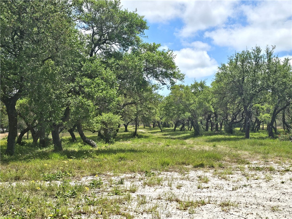 Lot 16a Avenue A Property Photo 3
