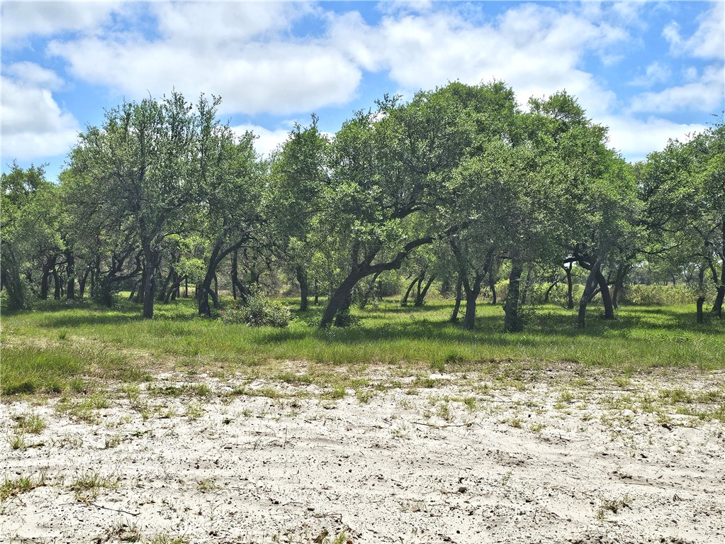 Lot 16a Avenue A Property Photo 4
