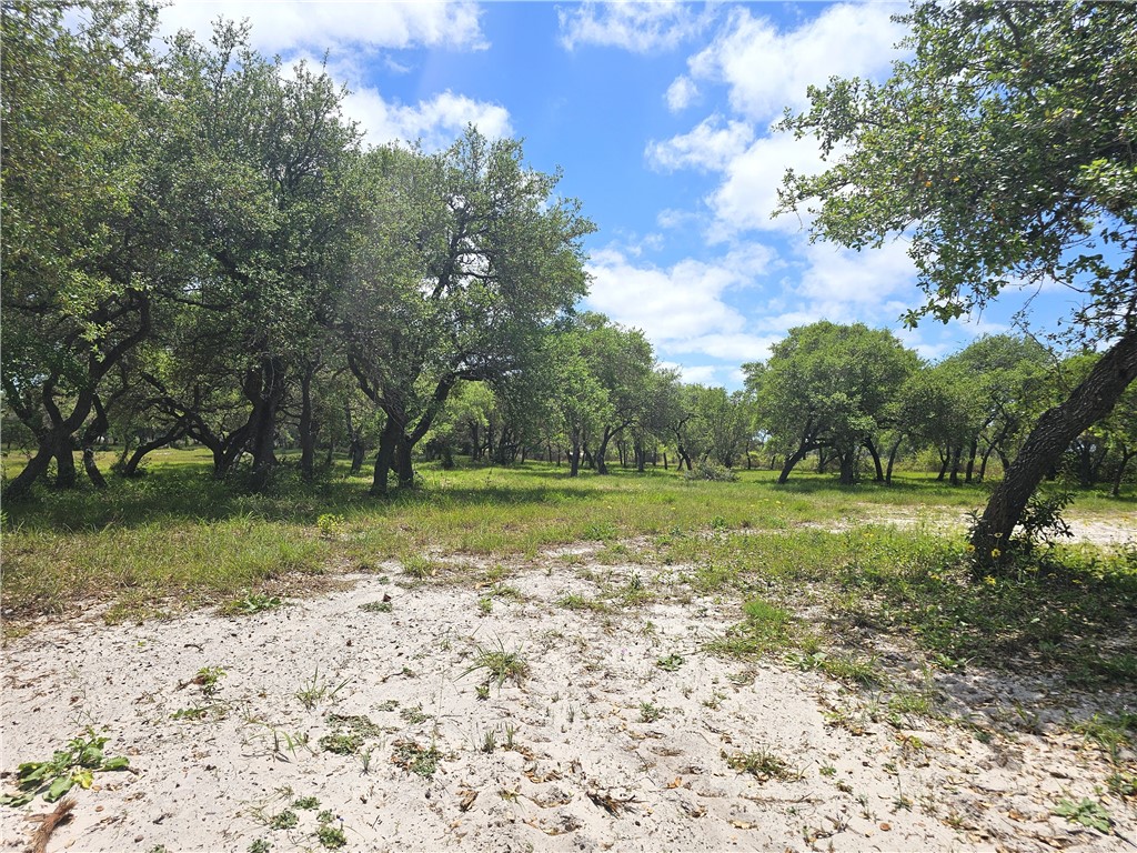 Lot 16a Avenue A Property Photo 5