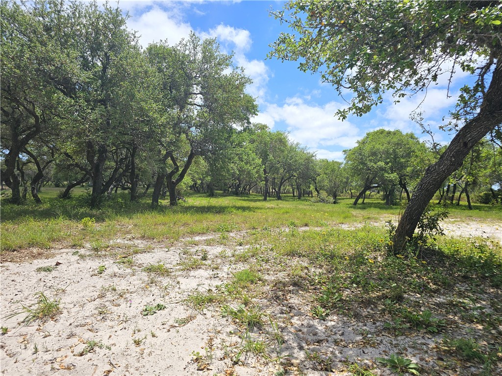 Lot 16a Avenue A Property Photo 6