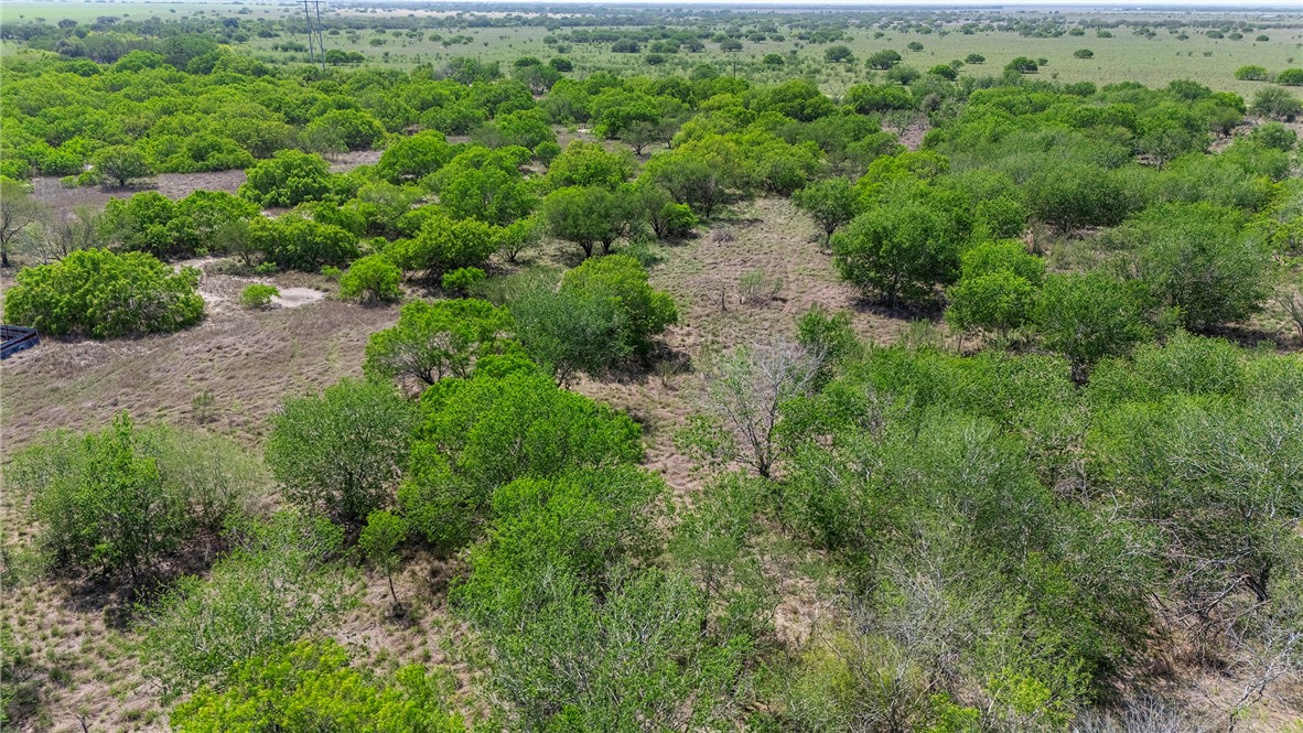 00 Fm 666 Dr Property Photo 9