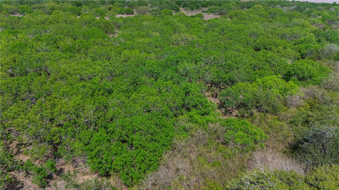 00 Fm 666 Dr Property Photo 12