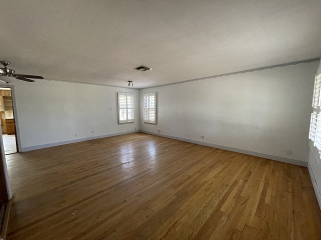 909 Zarsky Dr Property Photo 14
