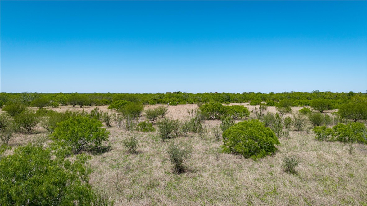 Tbd Fm-735 Property Photo 9