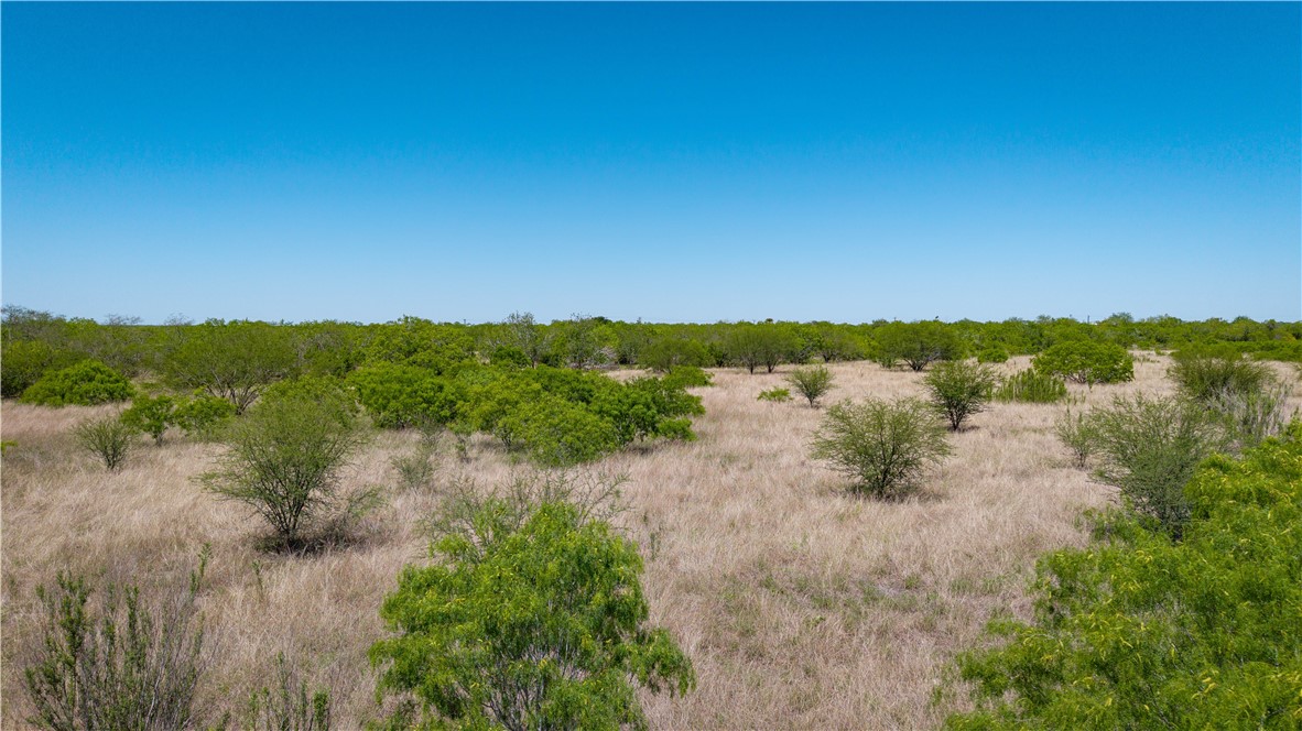 Tbd Fm-735 Property Photo 10
