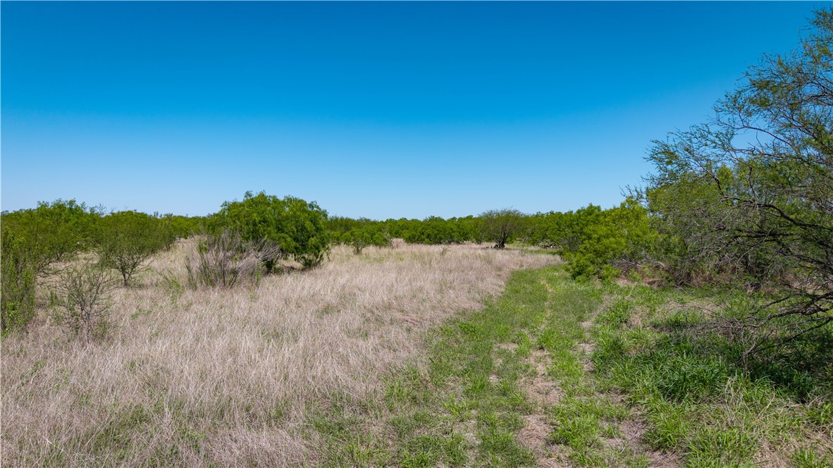 Tbd Fm-735 Property Photo 13