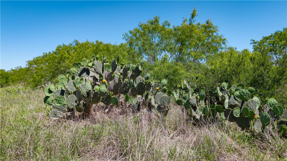Tbd Fm-735 Property Photo 15