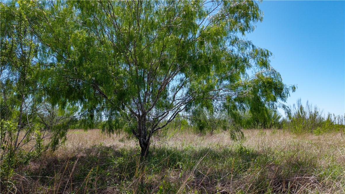 Tbd Fm-735 Property Photo 16